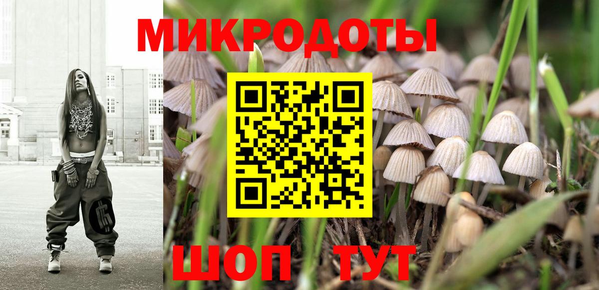 Галлюциногенные грибы Psilocybine cubensis Барнаул